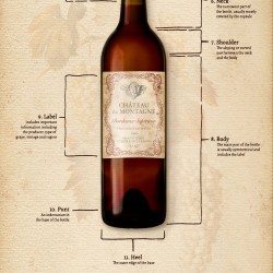 Wine Bottle Panel - 60 cm