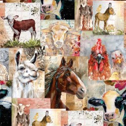 Packed Animals - MULTI (Digital)