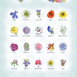 Floral Panel - 60cm (Digital)