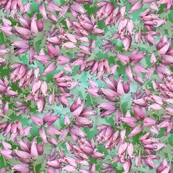Flowers - GREEN (Digital)