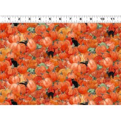 Cats & Pumpkins - ORANGE