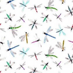 Dragonflies - WHITE