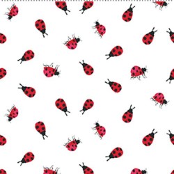 Ladybugs - WHITE
