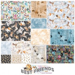 Best Friends 5" Squares (42pcs)