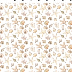 Coastal Cottage  Seashells (Digital) - WHITE