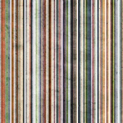 Homesteading Digital Stripe - MULTI COLOR
