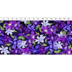 Packed Clematis - PURPLE