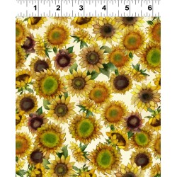 Sunflowers (Digital) - LIGHT CREAM