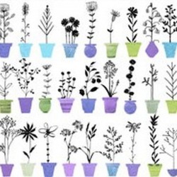 Flower Pot Stripe - PURPLE