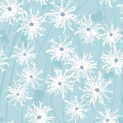 Daisies - AQUA