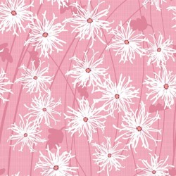 Daisies - PINK