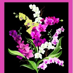 Orchid Fancy Panel (60cm) - BLACK