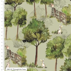Through the Trees - OLIVE