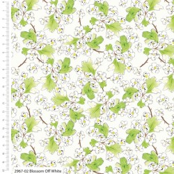 Blossom -  OFF WHITE