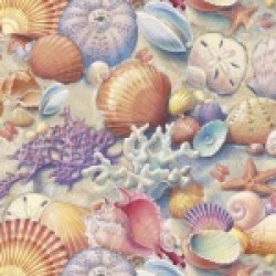 Seashells - MULTI