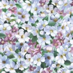Flowers - AZURE
