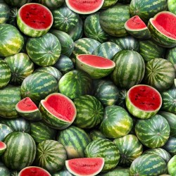 Watermelon - GREEN