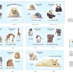 Whose Baby Am I Book Panel (90cm) - BLUE