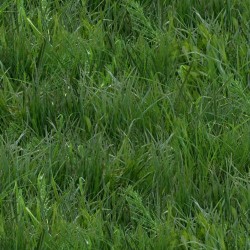Grass - GREEN