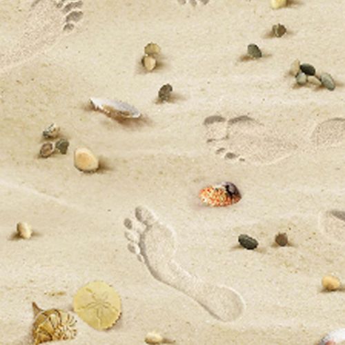 Footsteps On The Beach - SAND