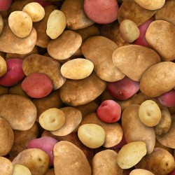 Potatoes - MULTI
