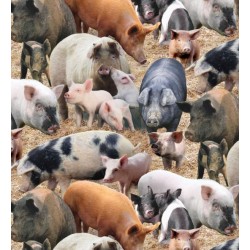 Pigs (New) - BROWN