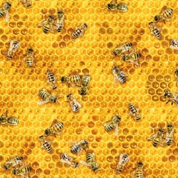 Bee Honeycomb - HONEY