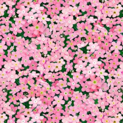 Pink Flowers - PINK