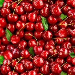 Cherries Packed- RED