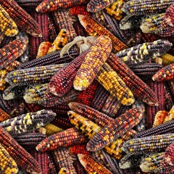 Native Corn - MULTI