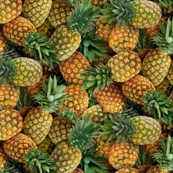 Pineapples - GOLD