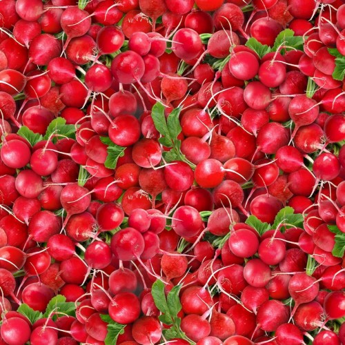 Radishes - RED