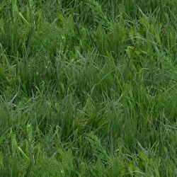 Landscape Medley - Grass - GREEN