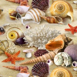 Landscape Medley - Shells Packed - SAND