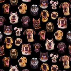Dogs - Dog faces - BLACK