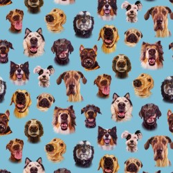 Dogs - Dog Faces - BLUE