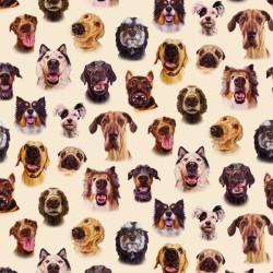 Dogs - Dog Faces - CREAM