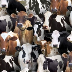 Farm Animals - Cows (New) - BLACK