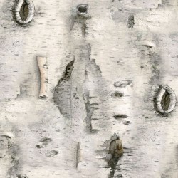 Landscape Medley - Bark - GRAY