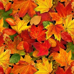 Landscape Medley - Leaves Autumn - MULTI