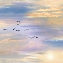 Landscape Medley - Sky African - MULTI