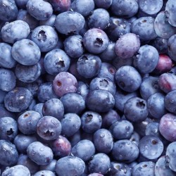 Packed Blueberries - BLUE