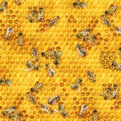 Landscape Medley - Bee Honeycomb - HONEY