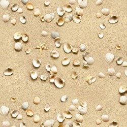 Landscape Medley - Shells Cockle - SAND