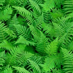 Landscape Medley - Ferns - GREEN
