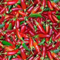 Chili Peppers - MULTI