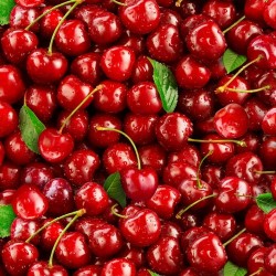 Cherries Packed- RED