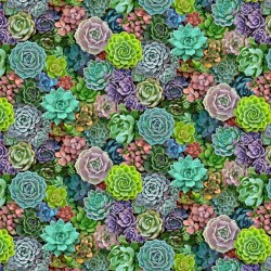 Landscape Medley - Succulents Small - MULTI