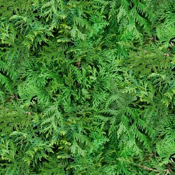 Landscape Medley - Tree Foliage - GREEN