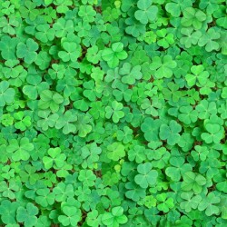 Landscape Medley - Clover - GREEN